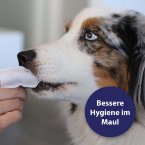 Canosept Zahnpflege Pads für Hunde
