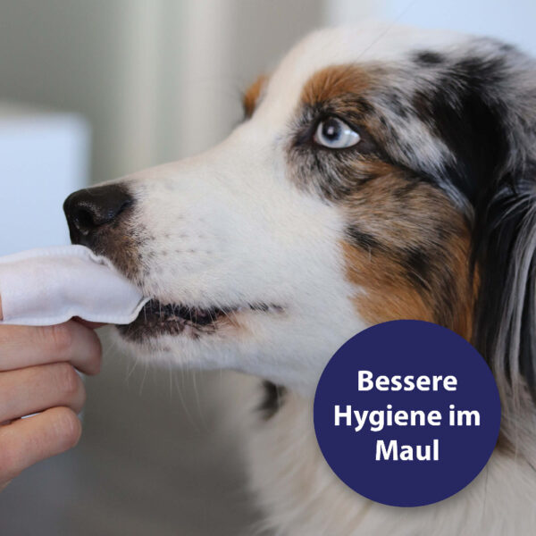 Canosept Zahnpflege Pads für Hunde