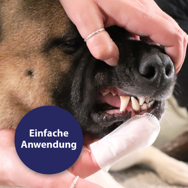 Canosept Zahnpflege Pads für Hunde - Image 3